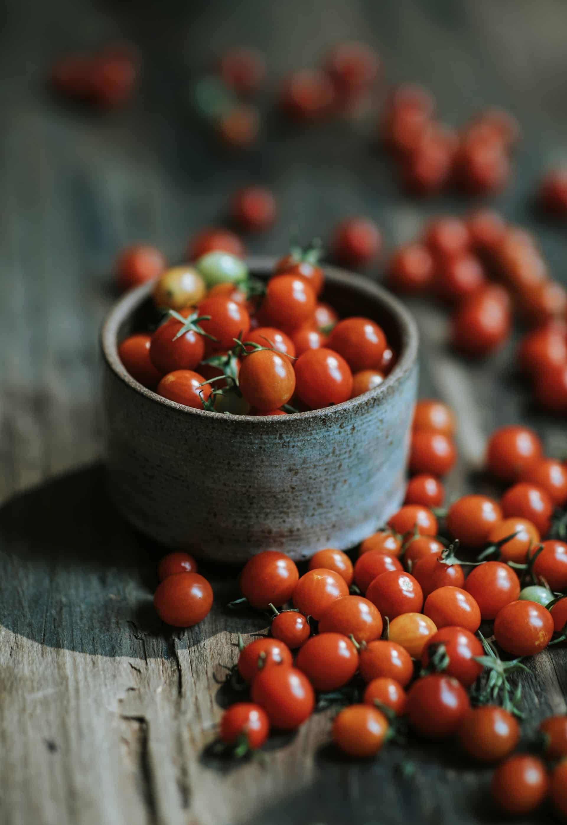 tomates-bio-plants tomates cerises bio