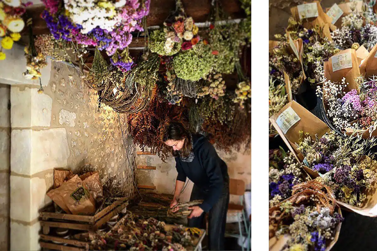 sechage-naturel-fleurs-bio-perche séchage naturel des fleurs bio du Garde Manger Fleuri à Nocé