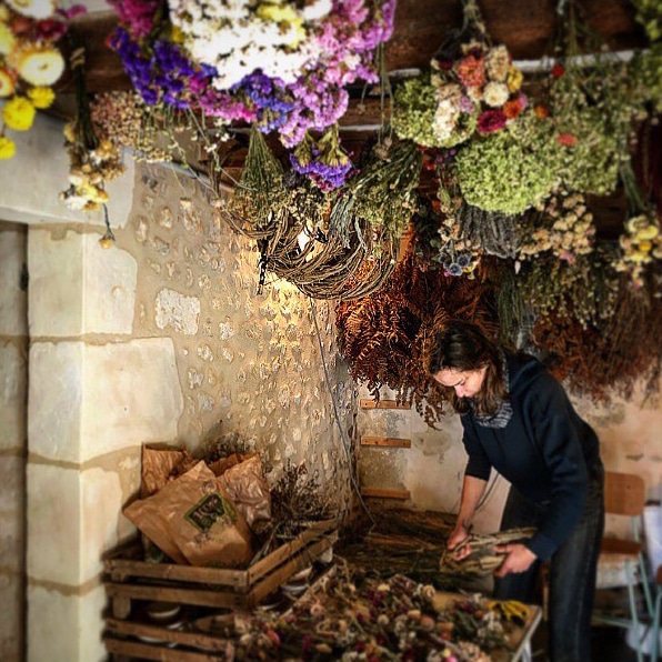 sechage-naturel-fleurs-bio séchage naturel des fleurs bio du Garde Manger Fleuri, à Nocé